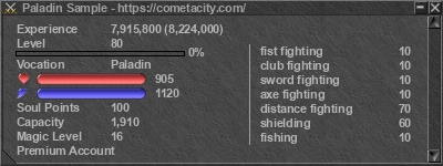 Signature for player Paladin Sample